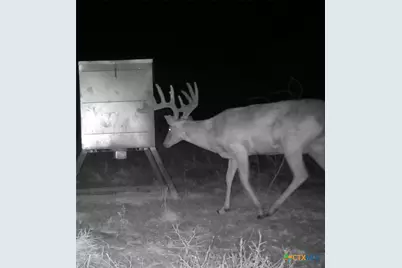 000 Fm 239, Tivoli, TX 77990 - Photo 3