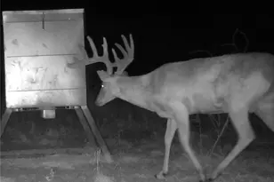 000 Fm 239, Tivoli, TX 77990 - Photo 3