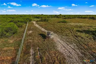 000 Fm 239, Tivoli, TX 77990 - Photo 11