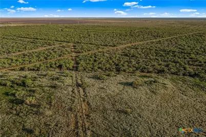 000 Fm 239, Tivoli, TX 77990 - Photo 17