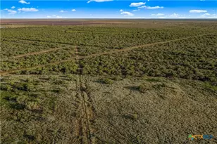 000 Fm 239, Tivoli, TX 77990 - Photo 17