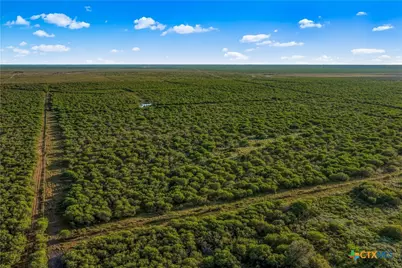 000 Fm 239, Tivoli, TX 77990 - Photo 15