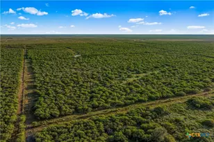 000 Fm 239, Tivoli, TX 77990 - Photo 15