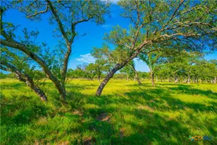 0 Creekside Ranch, Johnson City, TX 78636 - Photo 5
