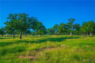 0 Creekside Ranch, Johnson City, TX 78636 - Photo 33