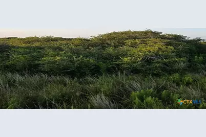 000 Carabajal Road #Tract 1547, Seadrift, TX 77983 - Photo 9