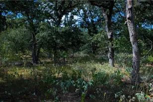 5476 County Rd 427, Stockdale, TX 78160 - Photo 31
