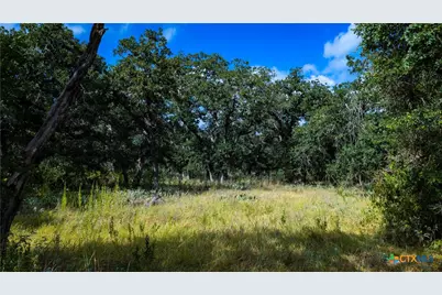 5476 County Road 427, Stockdale, TX 78160 - Photo 27