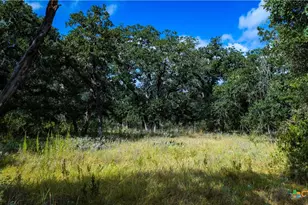 5476 County Rd 427, Stockdale, TX 78160 - Photo 27