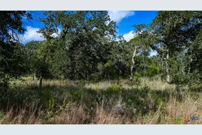 5476 County Road 427, Stockdale, TX 78160 - Photo 29