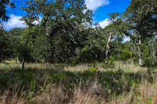 5476 County Rd 427, Stockdale, TX 78160 - Photo 29