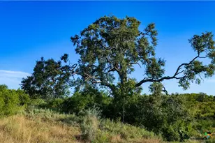 2850 Bylerpool Rd, Kingsbury, TX 78638 - Photo 17