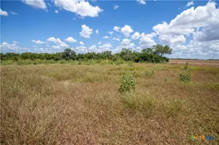 0 County Road 647, Mathis, TX 78368 - Photo 23