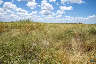 0 County Road 647, Mathis, TX 78368 - Photo 43