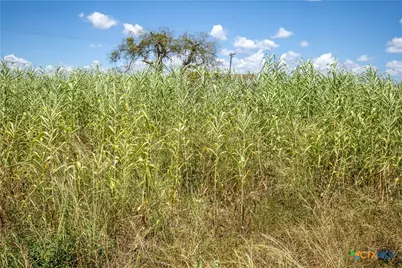0 County Road 647, Mathis, TX 78368 - Photo 45