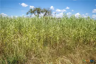0 County Road 647, Mathis, TX 78368 - Photo 45