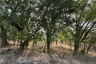 Tbd Cr 451, Lott, TX 76656 - Photo 5
