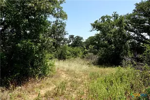 5711 FM765, San Saba, TX 76872 - Photo 19