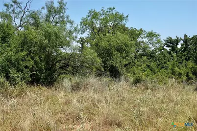 5711 Fm 765, San Saba, TX 76872 - Photo 17