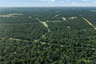 180 Autumn Oak Ct, Caldwell, TX 77836 - Photo 15
