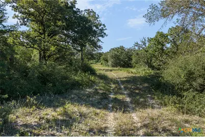 180 Autumn Oak Ct, Caldwell, TX 77836 - Photo 11