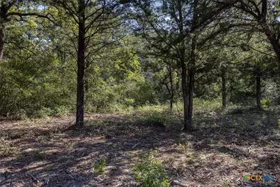 180 Autumn Oak Ct, Caldwell, TX 77836 - Photo 5