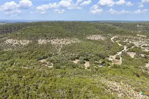 1920 The Low Rd, San Marcos, TX 78666 - Photo 3