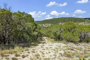 1920 The Low Rd, San Marcos, TX 78666 - Photo 23
