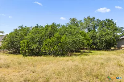 223 Peter Kleid Loop, Blanco, TX 78606 - Photo 11