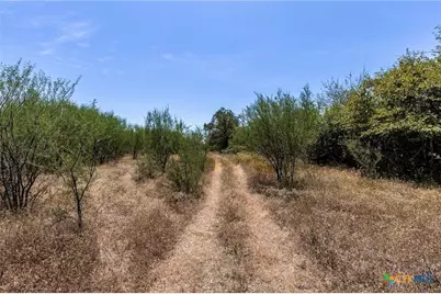 10 Gander Sloough, Kingsbury, TX 78638 - Photo 13