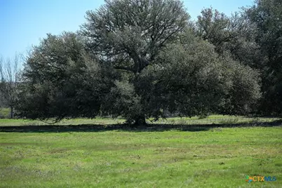 1018 Main Loop Road, Waelder, TX 78959 - Photo 9