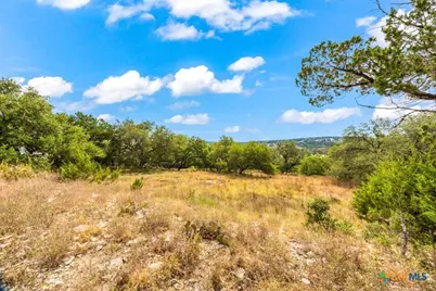 154 Double Tree Lane, Canyon Lake, TX 78133 - Photo 39