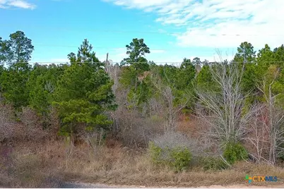Tbd Mahalo Court, Bastrop, TX 78602 - Photo 9