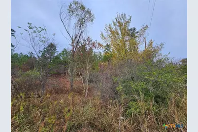 Tbd Mahalo Court, Bastrop, TX 78602 - Photo 5