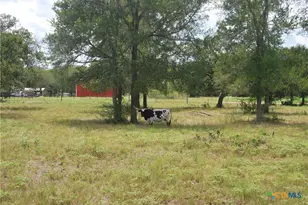 Tbd Lot 24 State Hwy 95, Flatonia, TX 78941 - Photo 21