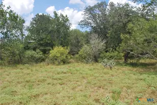 Tbd Lot 24 State Hwy 95, Flatonia, TX 78941 - Photo 19