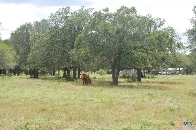 Tbd Lot 24 State Highway 95, Flatonia, TX 78941 - Photo 13