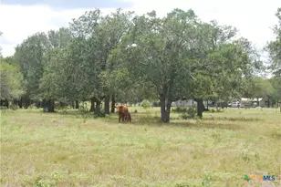 Tbd Lot 24 State Hwy 95, Flatonia, TX 78941 - Photo 13