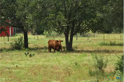 Tbd Lot 24 State Highway 95, Flatonia, TX 78941 - Photo 7