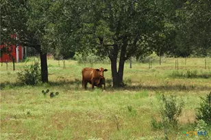 Tbd Lot 24 State Hwy 95, Flatonia, TX 78941 - Photo 7