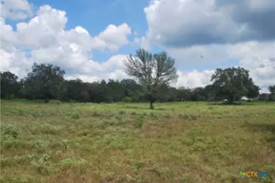 Tbd Lot 24 State Hwy 95, Flatonia, TX 78941 - Photo 15