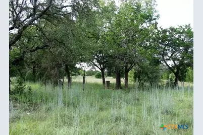 3650 Fm 932, Jonesboro, TX 76538 - Photo 35