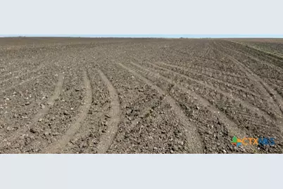 Tract 3 County Rd 355, Rosebud, TX 76519 - Photo 11