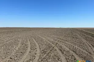 Tract 3 County Rd 355, Rosebud, TX 76519 - Photo 11