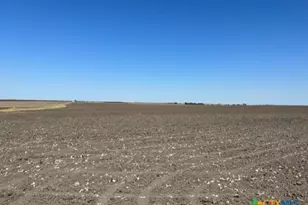 Tract 3 County Rd 355, Rosebud, TX 76519 - Photo 9