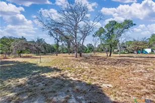 209 Sandy Oaks Dr, Seguin, TX 78155 - Photo 33