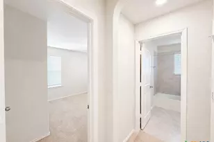 29529 Spring Copper, Bulverde, TX 78163 - Photo 29