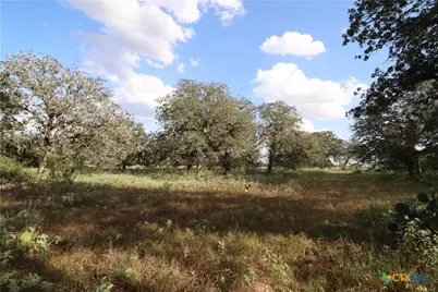 5668 State Highway 97, Floresville, TX 78114 - Photo 15