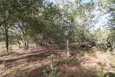 5668 State Highway 97, Floresville, TX 78114 - Photo 5