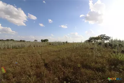 5668 State Highway 97, Floresville, TX 78114 - Photo 21